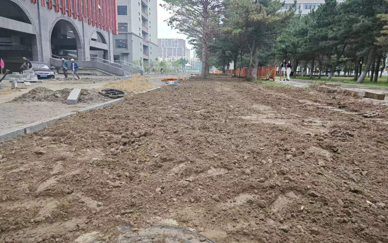 图片3.JPG