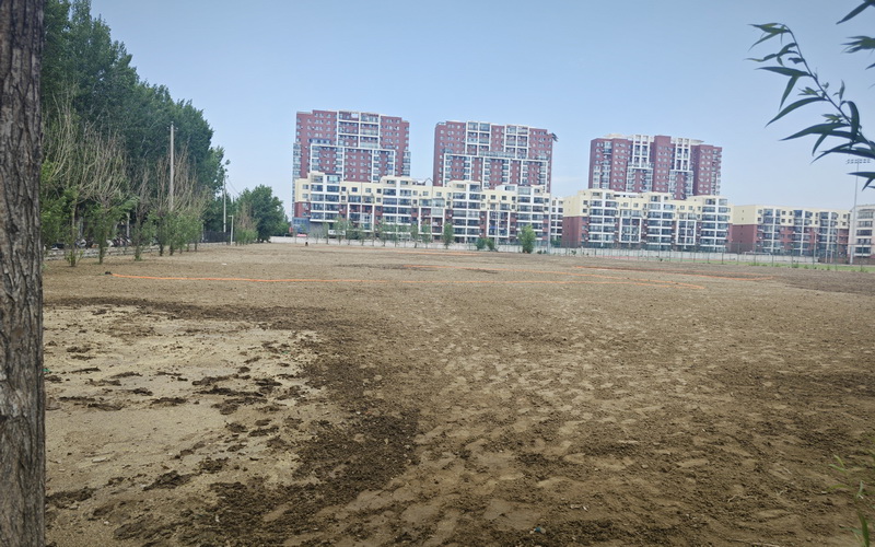 图片1.JPG
